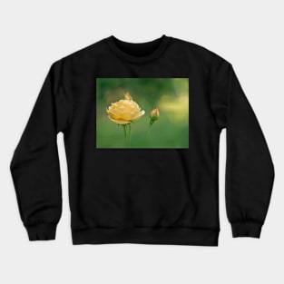 Mellow Yellow Rose Crewneck Sweatshirt